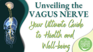 Read more about the article Unveiling the Vagus Nerve: Your Ultimate Guide to Health and Well-being