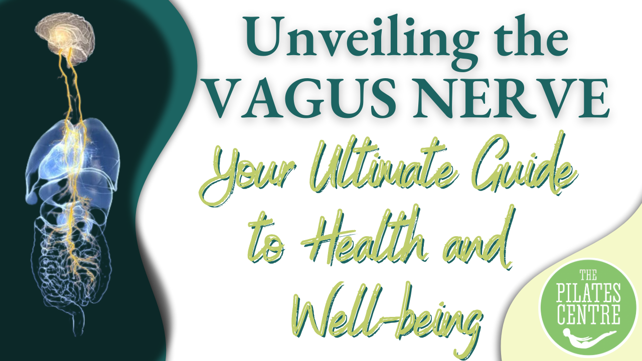 You are currently viewing Unveiling the Vagus Nerve: Your Ultimate Guide to Health and Well-being