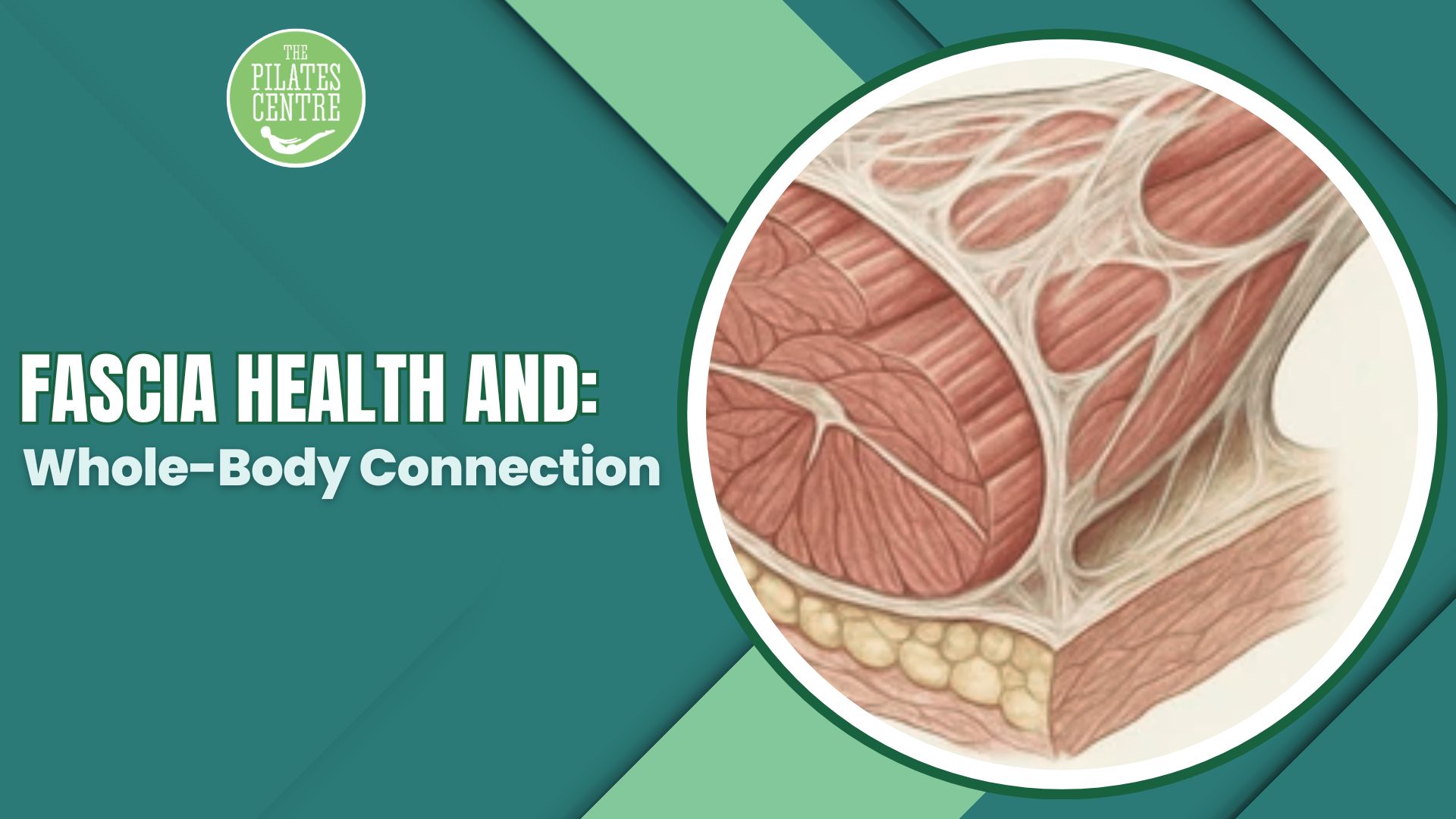 Read more about the article Fascia Health and Whole-Body Connection