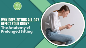 Read more about the article Why Does Sitting All Day Affect Your Body? The Anatomy of Prolonged Sitting
