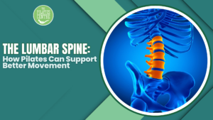 Read more about the article The Lumbar Spine: How Pilates Can Support Better Movement