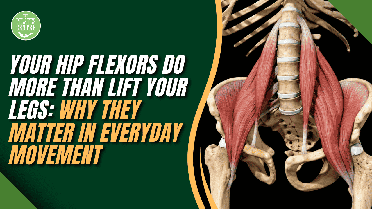 You are currently viewing Your Hip Flexors Do More Than Lift Your Legs: Why They Matter in Everyday Movement